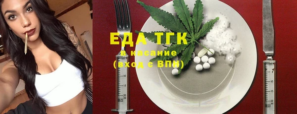 индика Аркадак