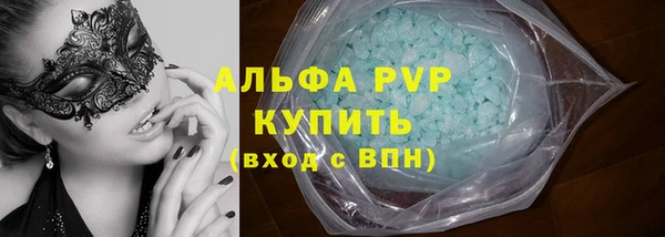 индика Аркадак