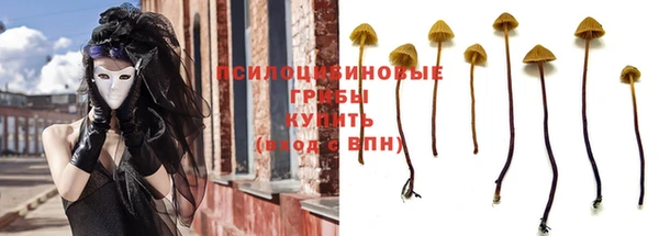 кокс Арсеньев