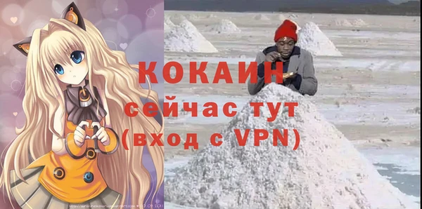 кокс Арсеньев