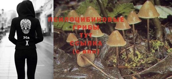 индика Аркадак