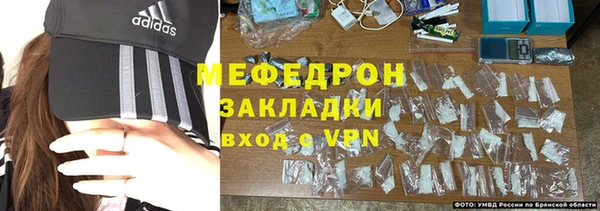 индика Аркадак